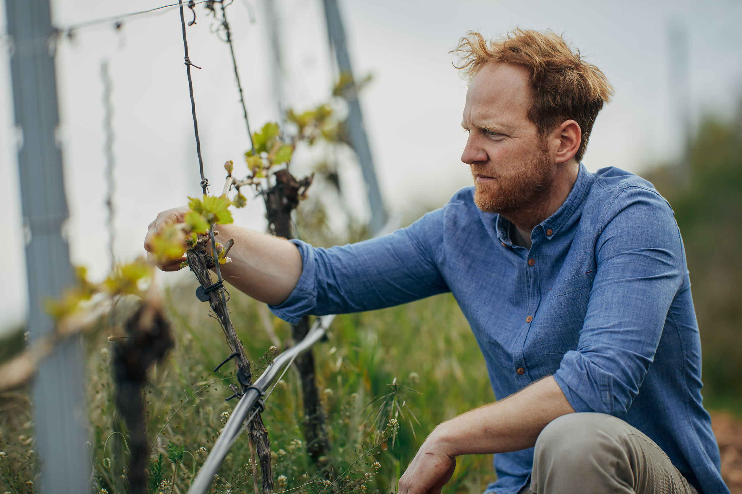 Bewertungen Weingut Kruger-Rumpf