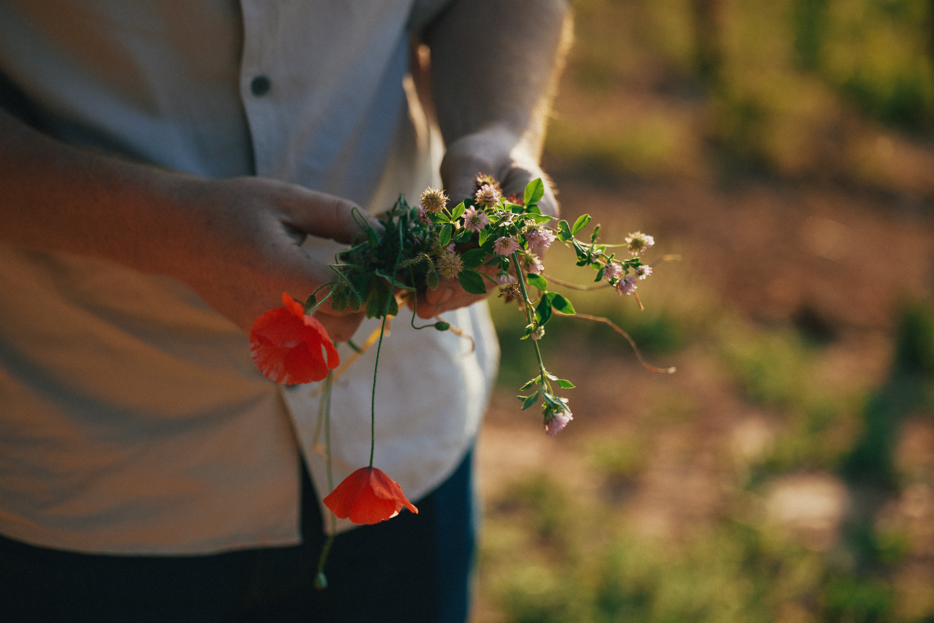 This image for Image Layouts addon