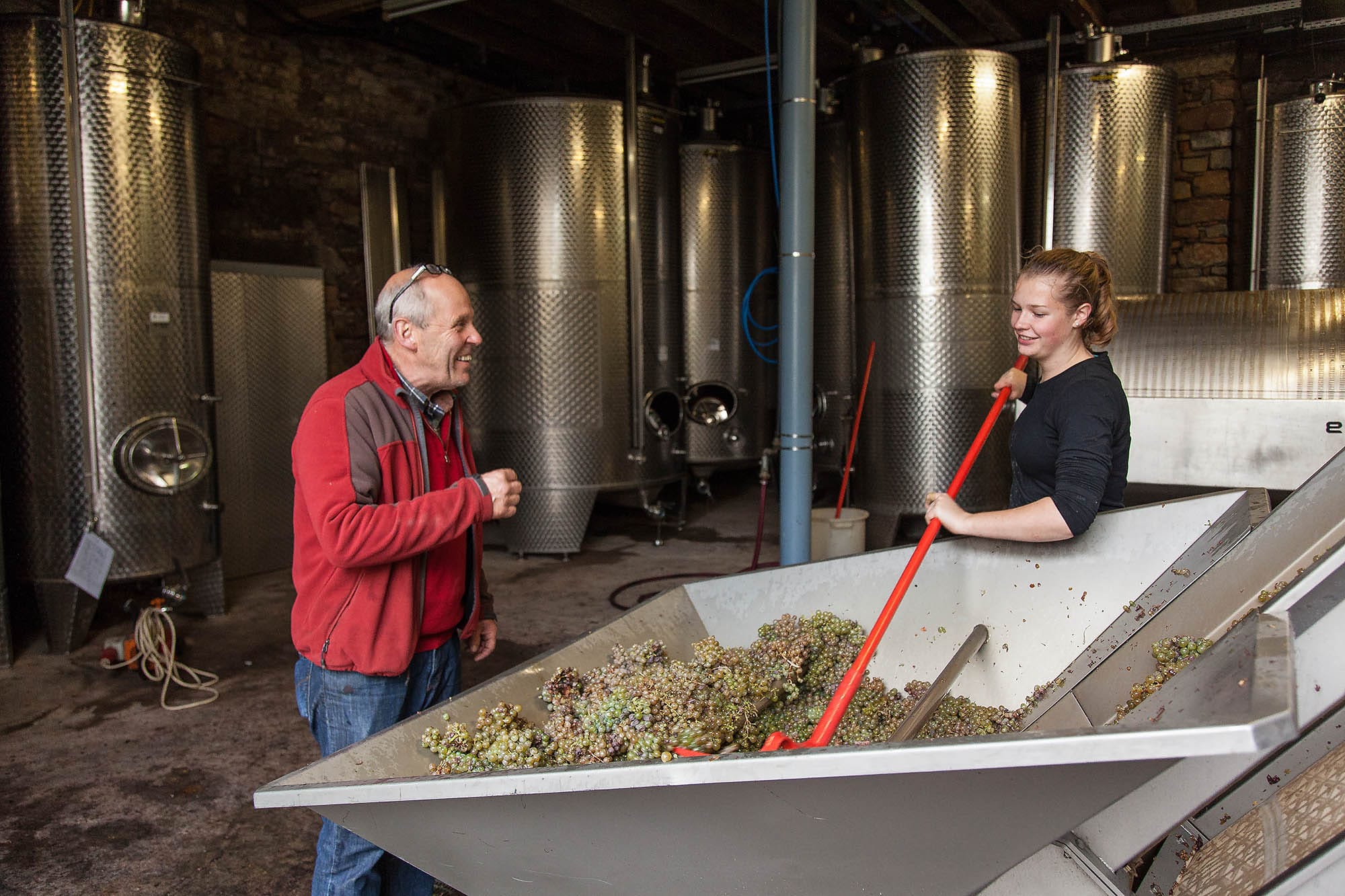 Weinprobe im Weingut möglich 