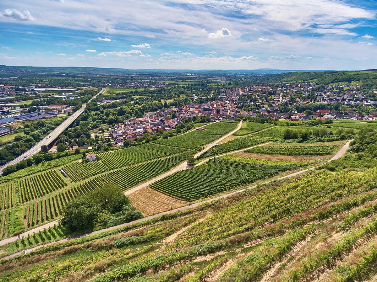 VDP.Erste Lage Rheinberg