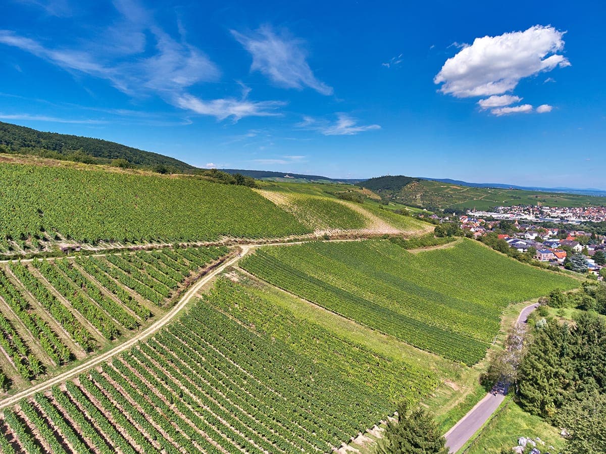 VDP.Grand Crus: Im Pitterberg