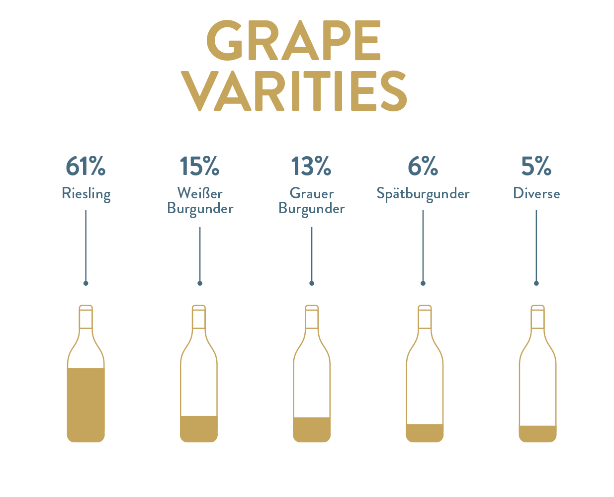 Grape Varieties